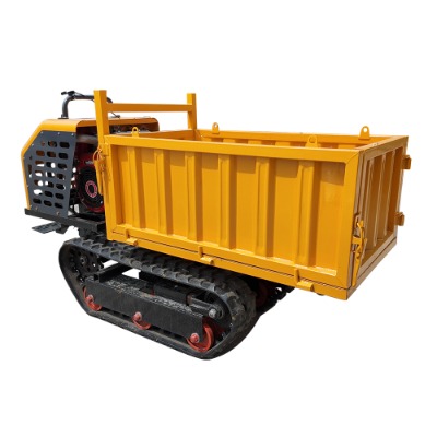 Tracked transporter